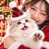 Knitted Yarn Christmas Pet Hat Soft Pompon Yarn Kitten Headwear  Winter Gathering