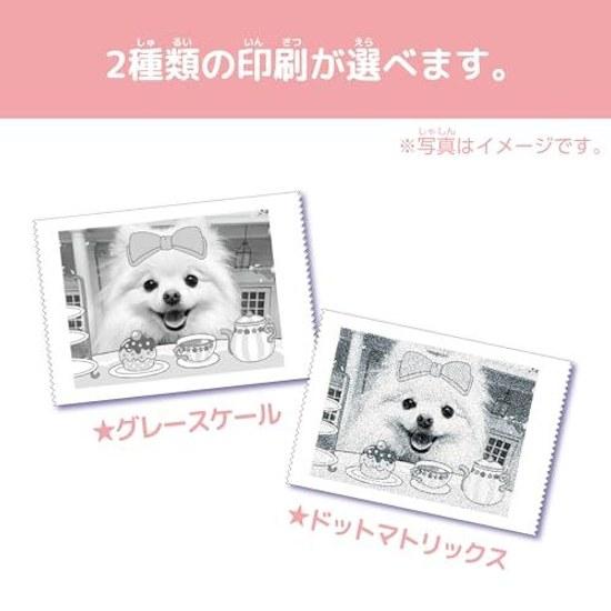 SEGA FAVE PRINT CAMERA Purika Macaron Pink