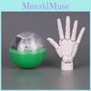 Articulated Pvc Hand Model For Drawing And Sketching Scale For Artists