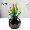 Artificial Plant Reusable Realistic PVC Fresh Keeping Easy Care Artificial Succulents Bonsai