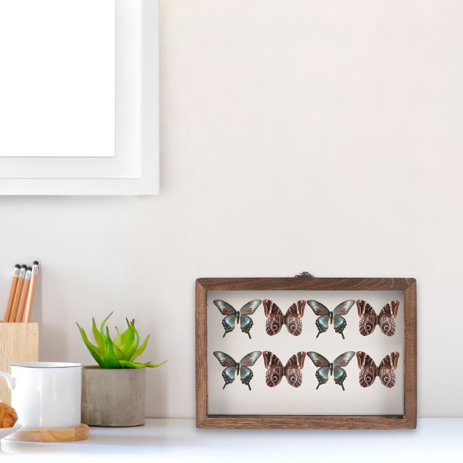 

Pcs Vintage Wooden Frame Insect Display Box Specimen Case Dried Flower Holder Acrylic Storage Showcase Butterfly Pin Case Wood 31.00X22.00X4.50CM кавовий