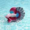 Pvc Fish Model Decor For Kids Educational Aquarium Tank Accessories