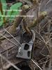 Aluminum Alloy Self-Locking Tent Rope Tensioner for Outdoor Camping