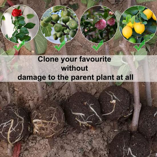 9Pcs Plant Propagator Ball Boost Plant Growth No Damage Translucent Increase Rooting Rate Indoor Outdoor Use