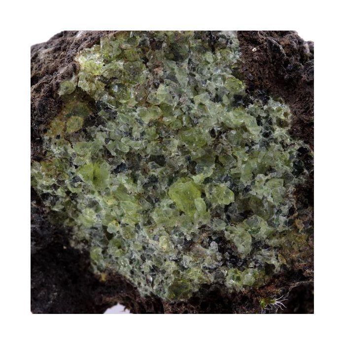 Péridotite 645.2 carats