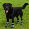 4pcs/set Thickened Anti-Slip Dog Socks Breathable Adjustable Puppy Warm Sock Comfortable Knitted Dog Footwear Indoor Use