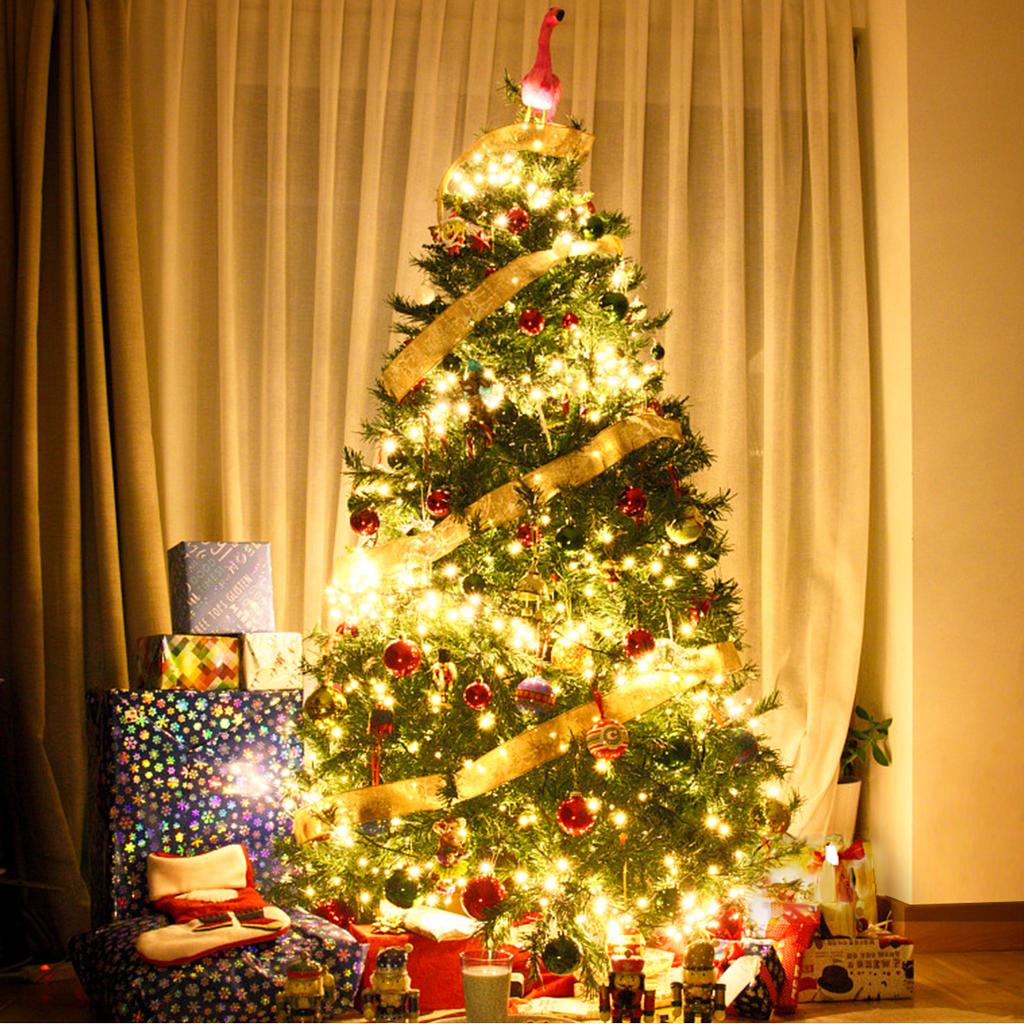 110V 220V Dekorative Lichterkette 50M 100M LED Lichterkette Feiertag Außenlampe Girlande Für Baum Hochzeitsparty Dekoration