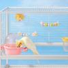 Bite Resistant Parrot Perch Toy Wear Resistant Beak Grinding Rack  Cage Accessories