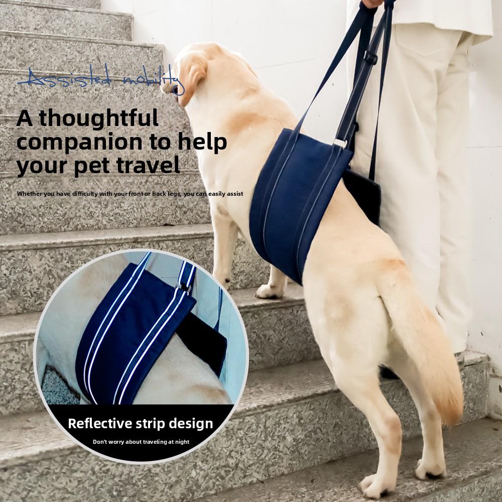 Dog-assisted Pet Rehabilitation Chest and Back Adjustable Reflective Leash Dog Chest and Back