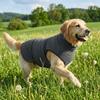 Pet Supplies Elastic Dog Anxiety Vest Reflective Warm Dog Soothing Clothes Comfortable Adjustable Dogs Calming Jacket Rainy Day