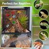 10pcs Multi-Color Reptiles Climbing Holds Random Enrichment Toy NEW Climbing Toys  Bearded Dragons