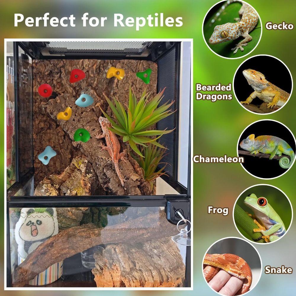 10pcs Multi-Color Reptiles Climbing Holds Random Enrichment Toy NEW Climbing Toys Bearded Dragons