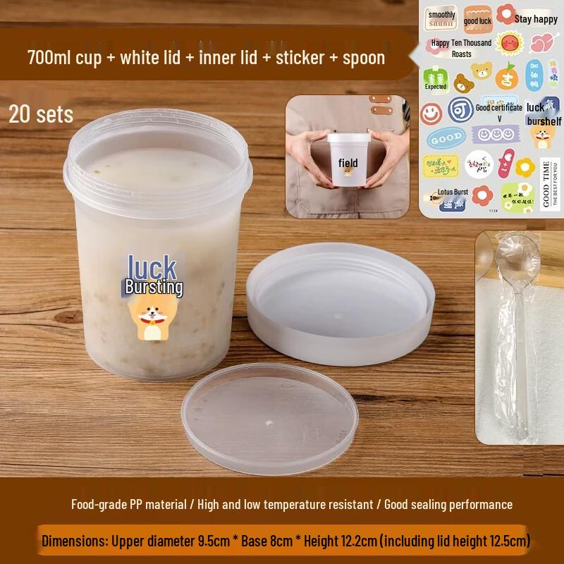 Miaojiayi Disposable Food-Grade Soup Container Set