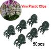 50Pcs Plant Fix Clips Orchid Stem Vine Support Flowers Tied Branch Clamping