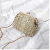 Mouth Gold Small Bag Female Wild Messenger Bag Chain Shoulder Fashion Clip Mouth Straw Bag