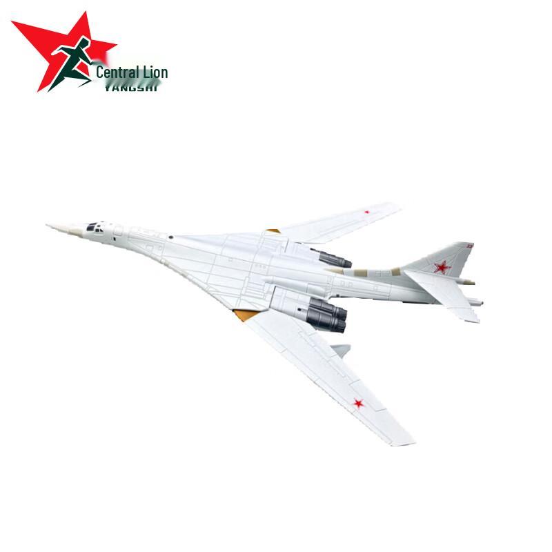 Russian Tu-160  White Swan  Bomber Aircraft Model