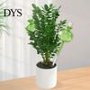Automatic Plant Waterers Watering Bulbs Planter Insert Self Globes with Stoppers Cactus Vacation Tools Ball Shape for Indoor Outdoor Potted