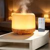 500ml Large Mist Humidifier & Essential Oil Diffuser for Home