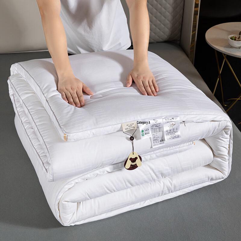 Brangdy Thickened Soy Fiber Winter Duvet