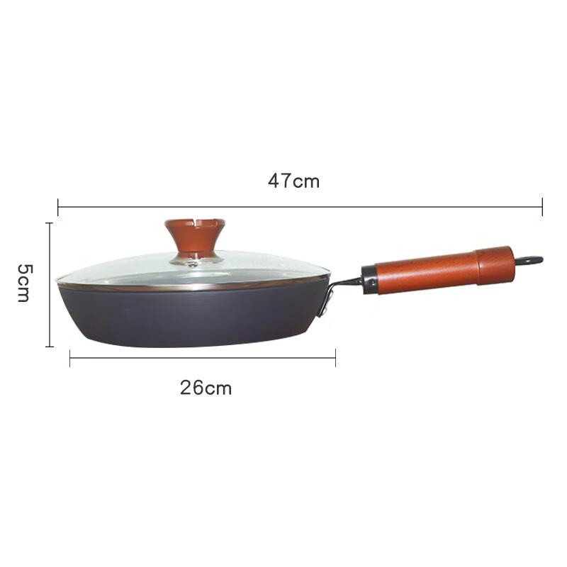 ZISIZ 26cm Iron Frying Pan with Lid