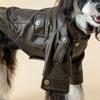 Small Dog Leather Jackets Motorcycles Styles Cyclists Coat with Metal Button Shoulder Belt Warm Fall Winter Pet Costume