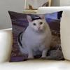 Double Sided Funny Cat Meme Throw Pillow Cover, Soft Short Plush Polyester Cushion for Sofa Bedroom Home Decor Gift