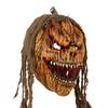 Horror Pompoen Maskerade Kostuum Horror Cosplay Kostuum Gezichtsbedekking Creepy Cosplay Feest Verkleed Accessoires Voor Carnaval
