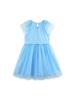 Summer Girls' Mesh Skirt with Swan Embroidery - European Style Princess Dress