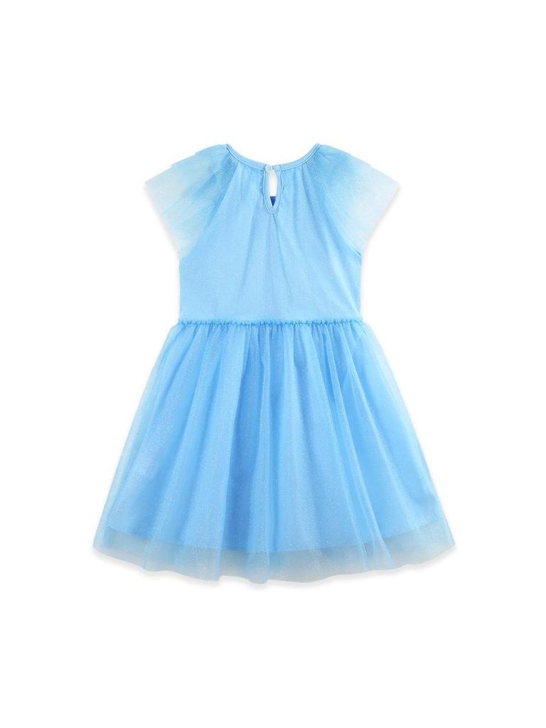 Summer Girls' Mesh Skirt with Swan Embroidery - European Style Princess Dress