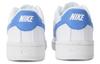 Nike Court Royale 2 Next Nature 'White Blue' DH3160-103