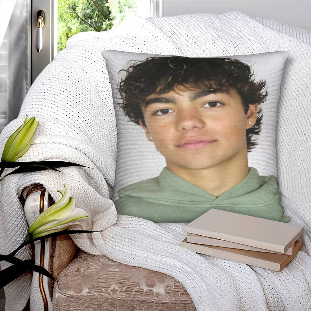 Malachi Barton Printed Pillowcase Cushion Cover Pillow Covers Warm Chair Decorations Square Multi-Size