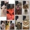 Pet Cat Funny Memes Phone Case For Samsung Galaxy S26 S25 Edge S24 FE S23 S22 Ultra S21 Plus S20 + Art Fundas Back Cover Galaxy