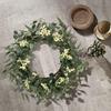 Pinkpum 20'' Eucalyptus Wreath for Front Door, Porch, Window - Green Decor for Home, Farmhouse - Spring, Summer, Fall, All Seasons