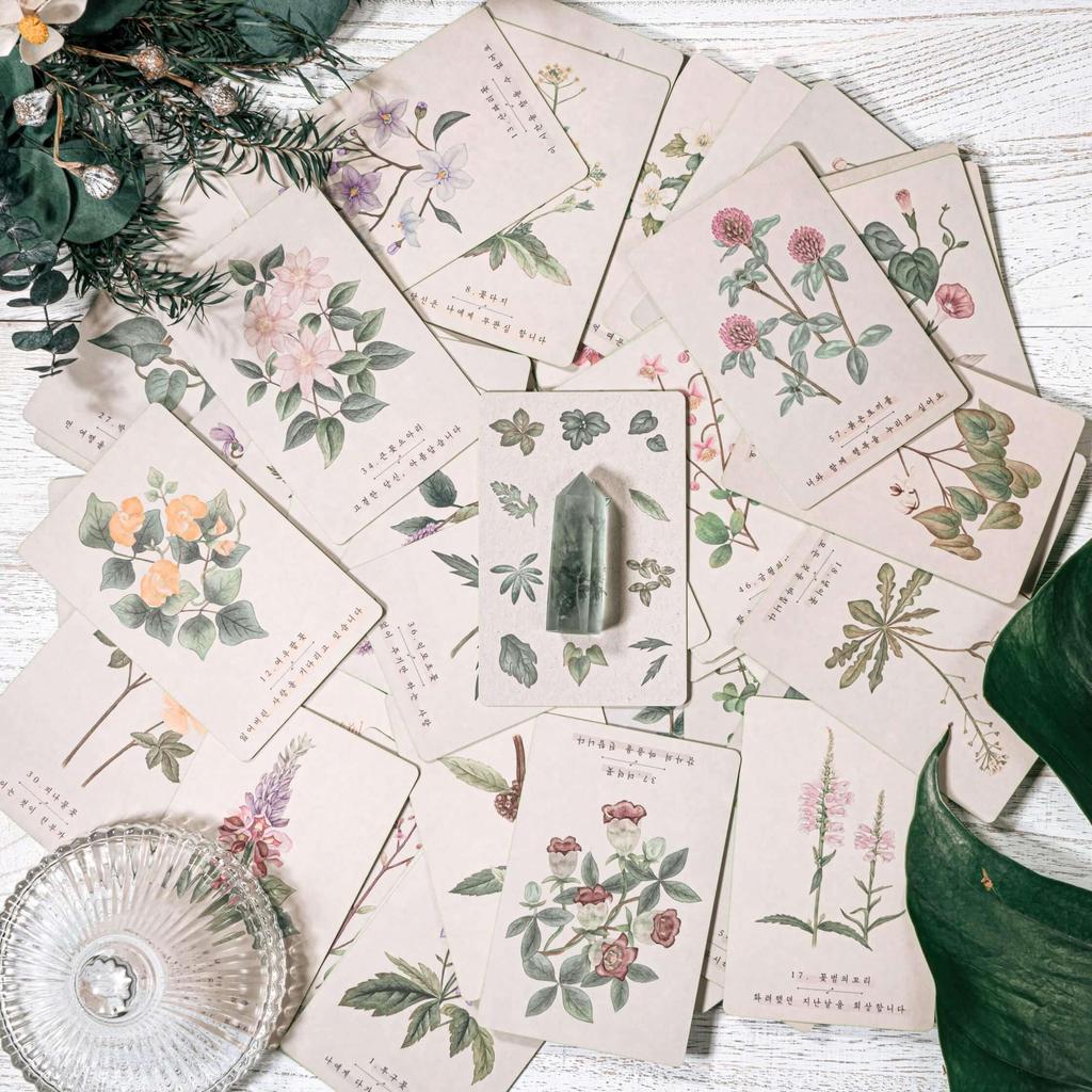 Wildflower Oracle Cards (New Edition) | PRIME MUSE | 60 Cards with Downloadable Japanese Instruction Manual [Authentic]