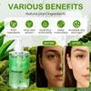 Kiss Beauty Aloe Vera Gel Gel Feuchtigkeitsspendende Essenz Gel Feuchtigkeitsspendende Feuchtigkeitscreme Aloe Vera Gel
