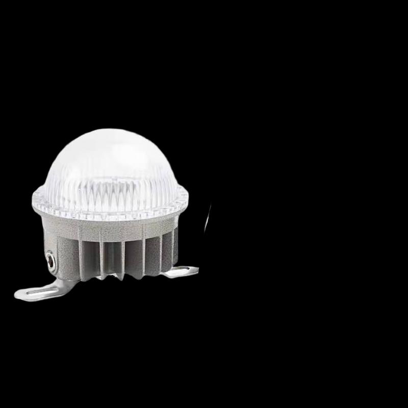 Longchen 30W LED Explosion-Proof Marine Ceiling Light