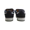 Nike Dunk SB Wild Coordinates Slip Resistant Abrasion Resistant Low top Skateboard Shoes Unisex HF3063-002(Team1641-)