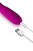 Rabbit Vibrator Bess Rose Usb G-Spot 10 Programs Cc531062