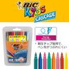 BIC Japan Cascade Filzstifte auf Wasserbasis, 30er-Pack, CSD-30