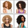 Women Synthetic Shoulder Length Curly Hair Extension Afro Wig Cosplay Costume