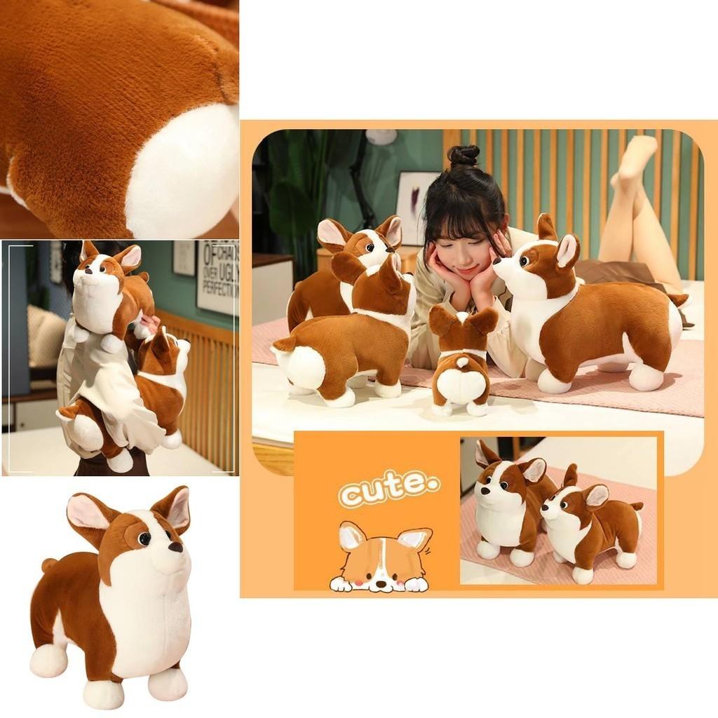Cute Plush Corgi Dog Toy Soft And Huggable Stuffed Animal For Kids And Pets Brown And White Color 23cm
