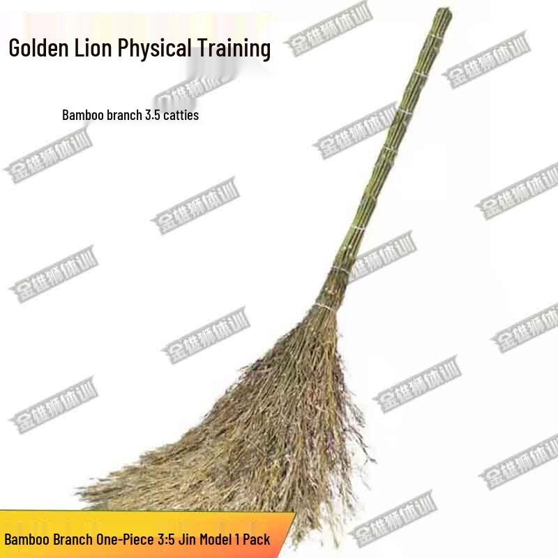 Golden Lion Heavy-Duty Outdoor Broom