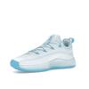 Nike LeBron TR 1 Glacier Blue Unisex Sneakers Baltic-Blue FJ6151-400