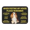 Please Remember Staffordshire Bull Terrier House Rules Doormat Mat Anti-Slip Kitchen Bath Living Room Entrance Rug Carpet