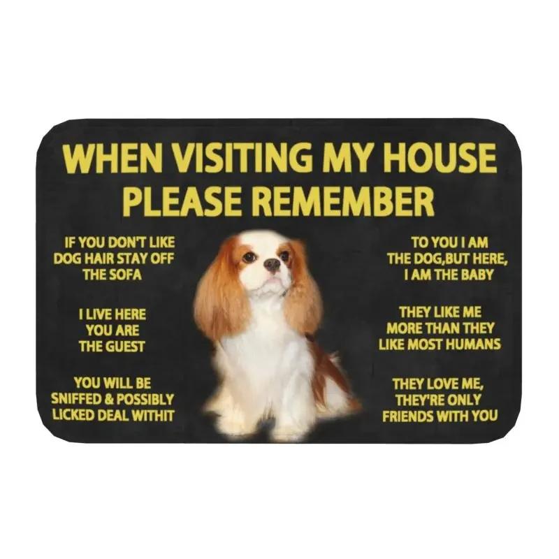 Please Remember Staffordshire Bull Terrier House Rules Doormat Mat Anti-Slip Kitchen Bath Living Room Entrance Rug Carpet