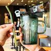 Portable Colorful Glass Straw Cup with Handle