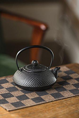 Ikenaga IronWorks 0.6L Iron Kettle, Nambu Ironware Teapot, Iron Supplementation, Made in Japan