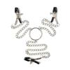 Adjustable Y-shaped Nipple Clitoris Nipple Clamp with Stainless Steel Metal Chain BDSM Flirting Breast-fed Sex Toy Stainless