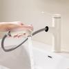 Pull-Out Basin Faucet