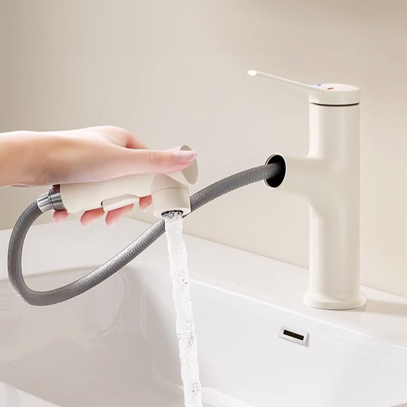 Pull-Out Basin Faucet